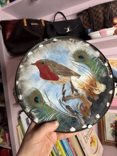 Vintage feather picture retro - vintage,