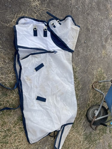 Masta fly rug 6 - rug, 5’6