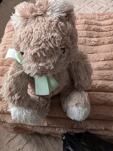 Waitrose scruffy bunny rabbit - bunny,