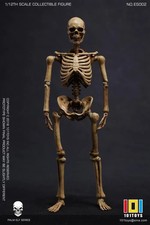 Palm Elf Series No.ES002 Skeleton 1/12 Scale figure