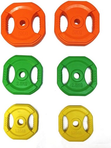Studio pump weight plates - 1", /
