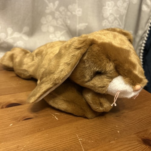 2000 beanie buddies ears - 2000,