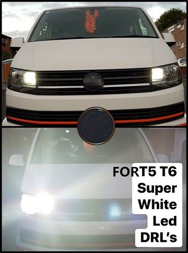 For t6 transporter - t6,
