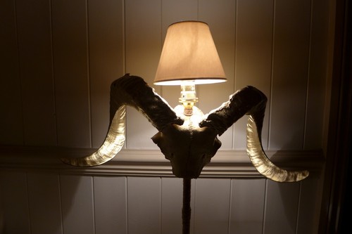 Table lamp made from ram - lamp,