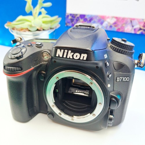 Nikon d7100 digital slr - nikon, camera