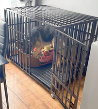 Heavy duty dog crate large - duty,