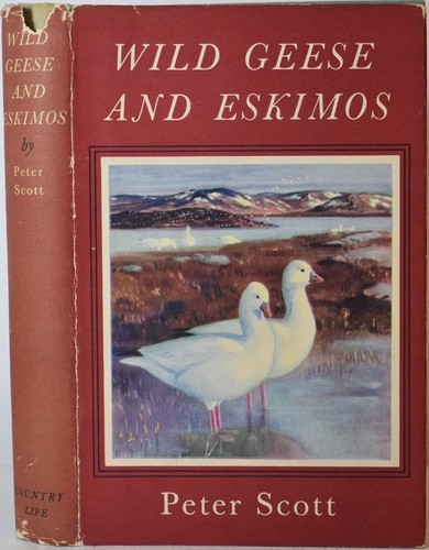Wild geese eskimos - geese, &