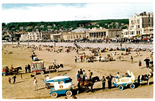 Somerset donkeys beach - donkeys,, &