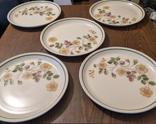5 Vintage Dinner Plates St
