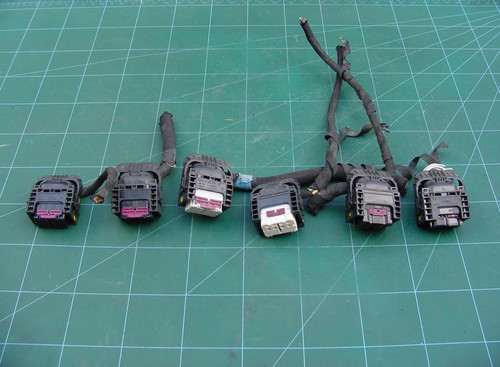 Bmw bosch mg1cs003 - ecu, wiring