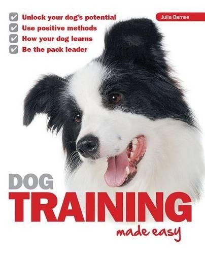 Dog training made - dog, easy