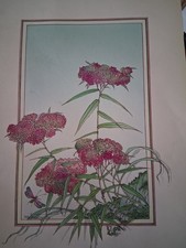 Botanical