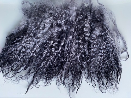 50gm teeswater long locks - teeswater,