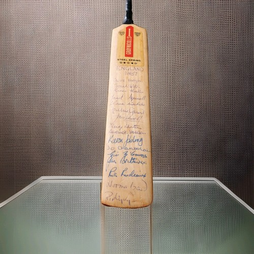 Gray nicolls cricket - cricket, bat