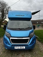 HORSE COLOURED COB PIEBALD GYPSY TRAVELER REG PRIVATE REGISTRATION NUMBER PLATE