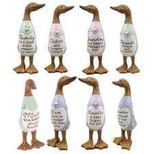 Daisy message duck figurines - duck,