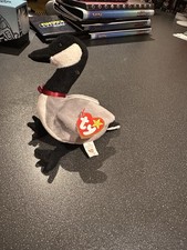 Ty Loosy, The Beanie Babies