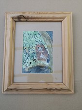 Original Watercolour Owl painting. Signed, Framed. Not a Print.