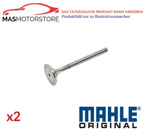 Engine exhaust valve - engine,