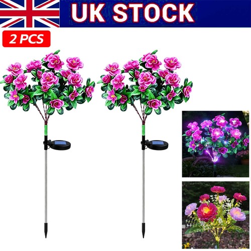Pack solar powered lights - 2,