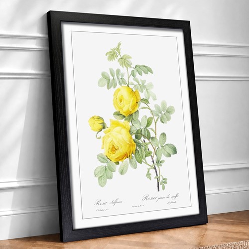 Yellow roses flowers vintage - yellow,