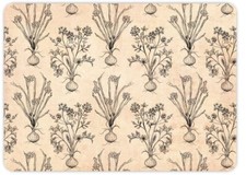 iStyle My Home  Set of 4