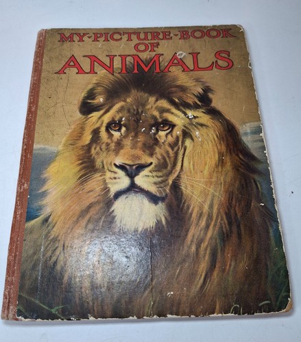 Picture book animals - animals,