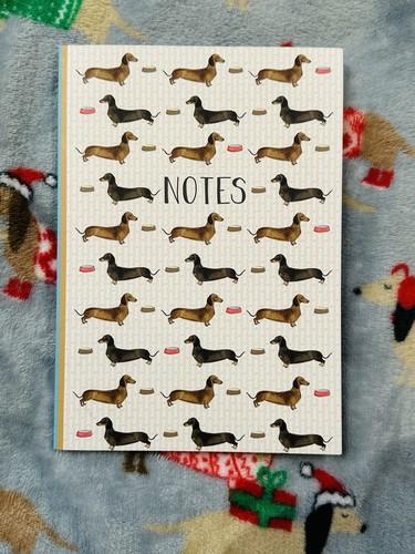 Sausage dog dachshund - dog, /