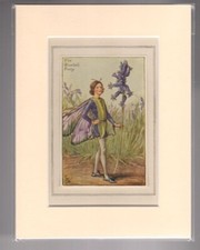 The Bluebell Fairy (Mounted
