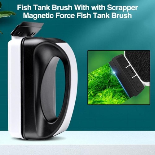 Strong magnetic fish - strong,