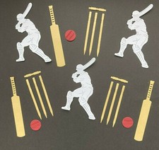 Cricket ODI Test Match T20 Die