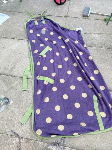 Weatherbeata purple cream - weatherbeata, purple/cream