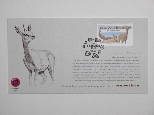 Namibia 2015 klipspringer - 2015,