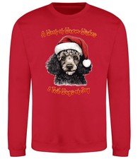 POODLE Christmas Dog