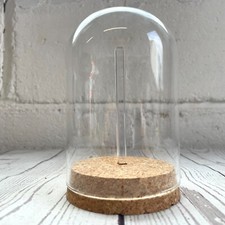 1 x Glass Dome Cloche Display