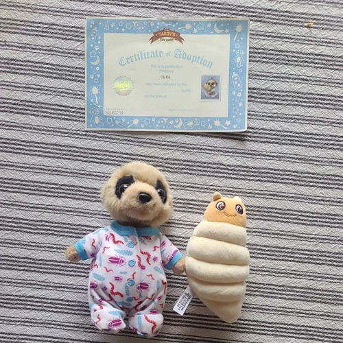 Baby oleg meerkat - baby,