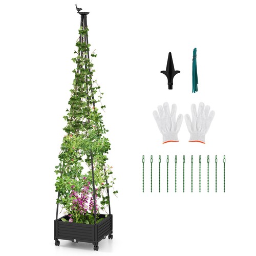 Tall plant support inches - tall,
