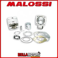 3113555 THERMAL GROUP MALOSSI