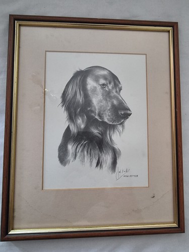Framed picture irish - of, an