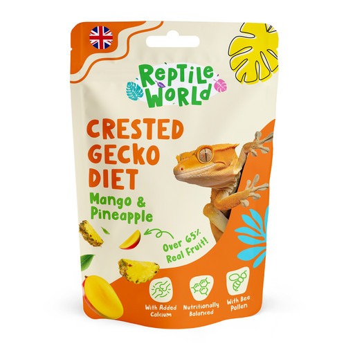Reptile world crested gecko - reptile,