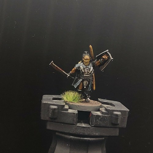 Pro painted warhammer lotr - pro,