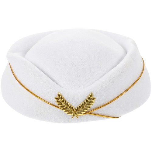 Air stewardess costume cabin - air,