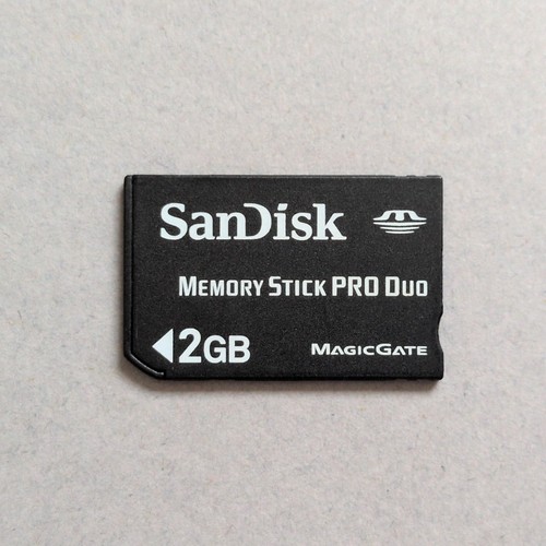2gb sandisk memory - 2gb,