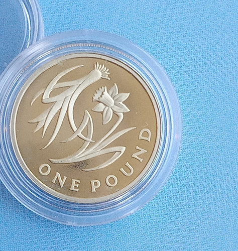 2013 wales floral - 2013,