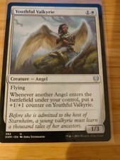 MTG Youthful Valkyrie 382