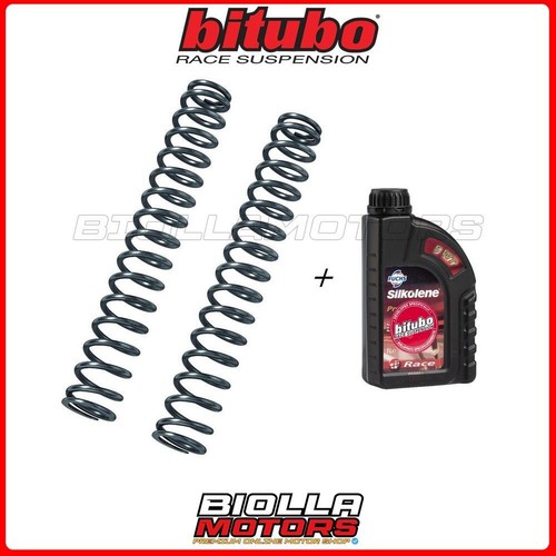 Fork springs kit - kit, 1.0
