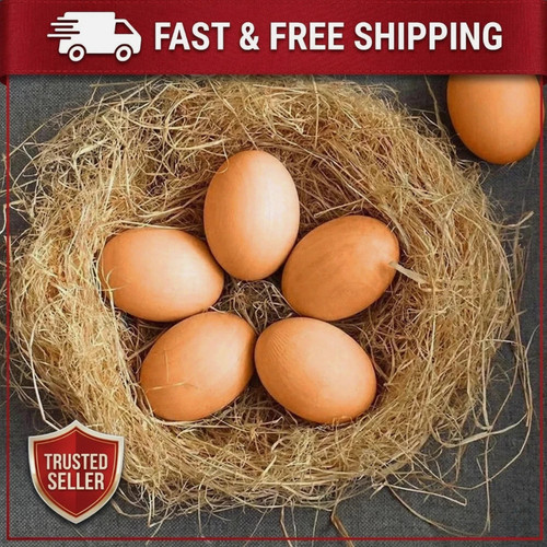 12x fake plastic eggs dummy - fake,