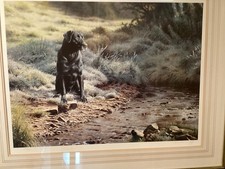 Breeze by Steven Townsend Ltd