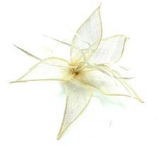 Ladies Feather Beak Clip