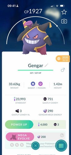 Pokémon gengar banette - go,